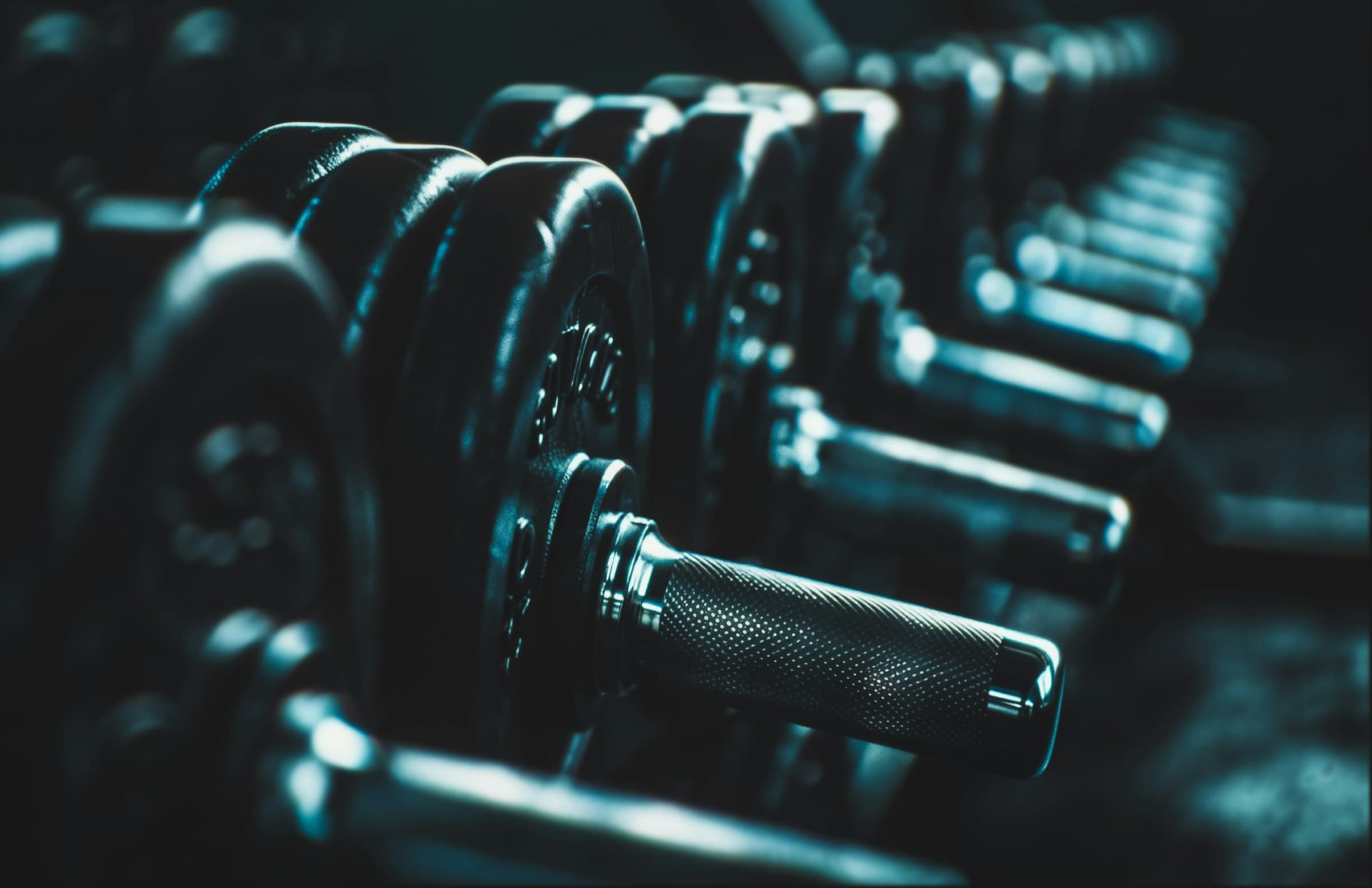 Rack de mancuernas profesionales en el gym